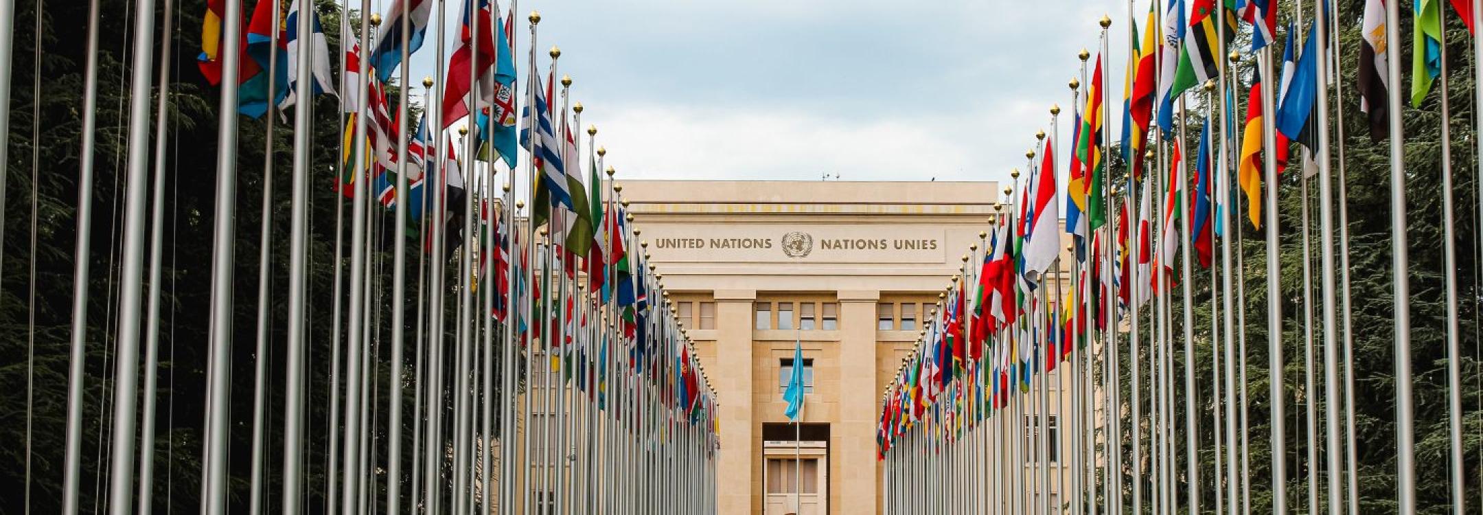 Website banner_2.jpg Website banner_2.jpg