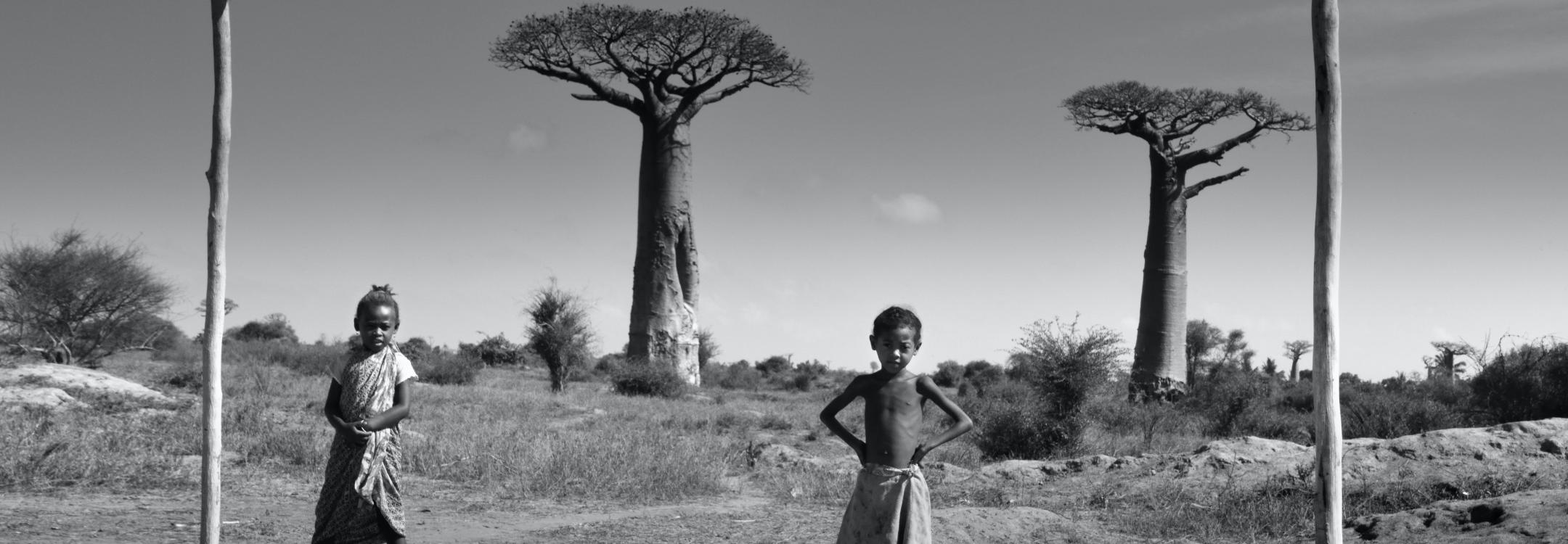 antoni-socias-DuOeLVG_Y44-unsplash.jpg antoni-socias-DuOeLVG_Y44-unsplash.jpg