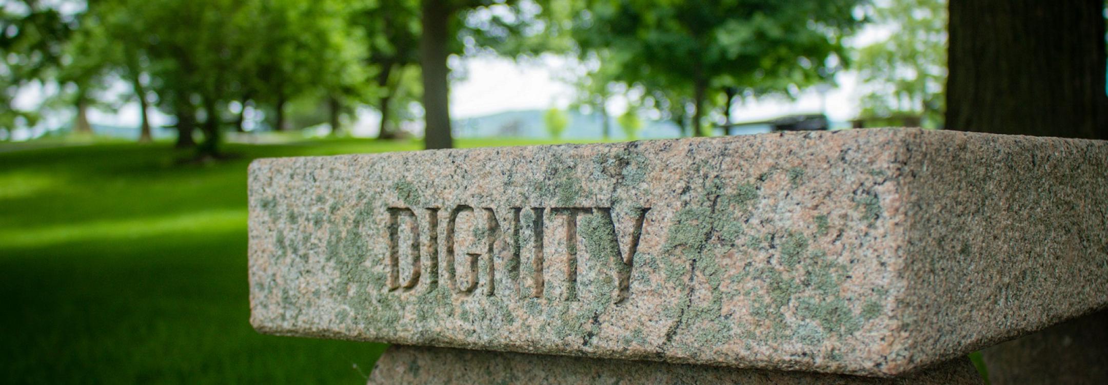 dave-lowe-nJTcfvqcJKc-unsplash_0.jpg dave-lowe-nJTcfvqcJKc-unsplash_0.jpg