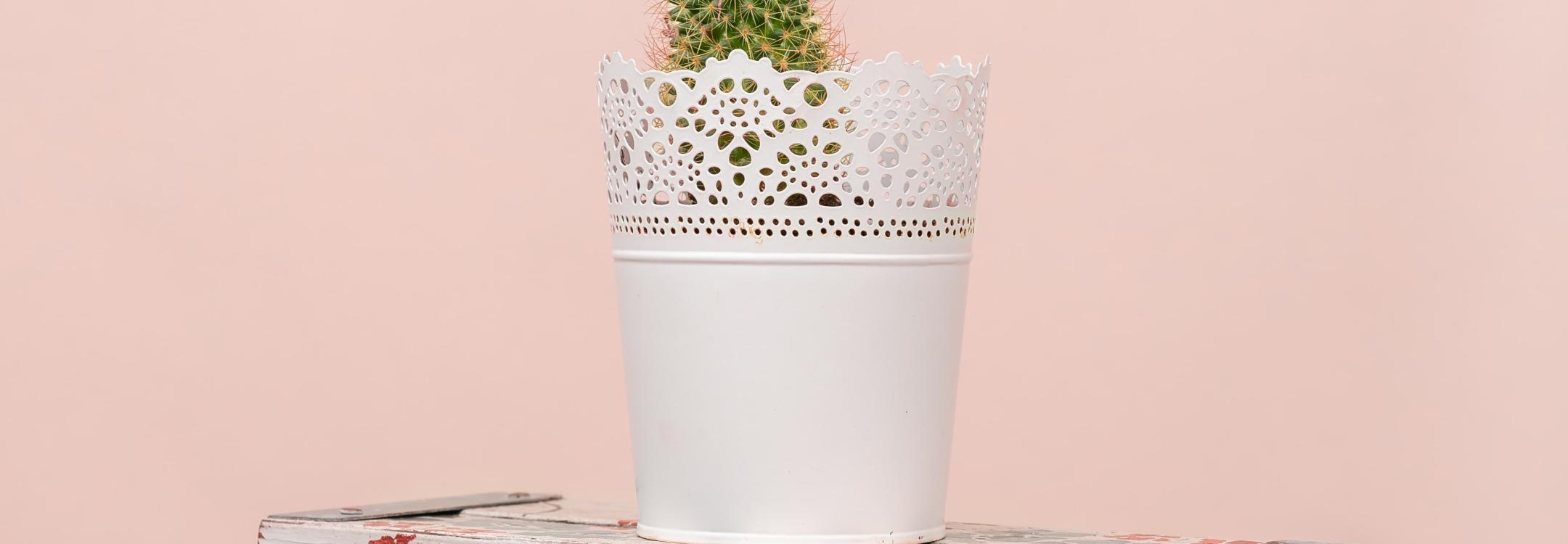 hemanth-nirujogi-pnqih-qCl8E-unsplash.jpg hemanth-nirujogi-pnqih-qCl8E-unsplash.jpg