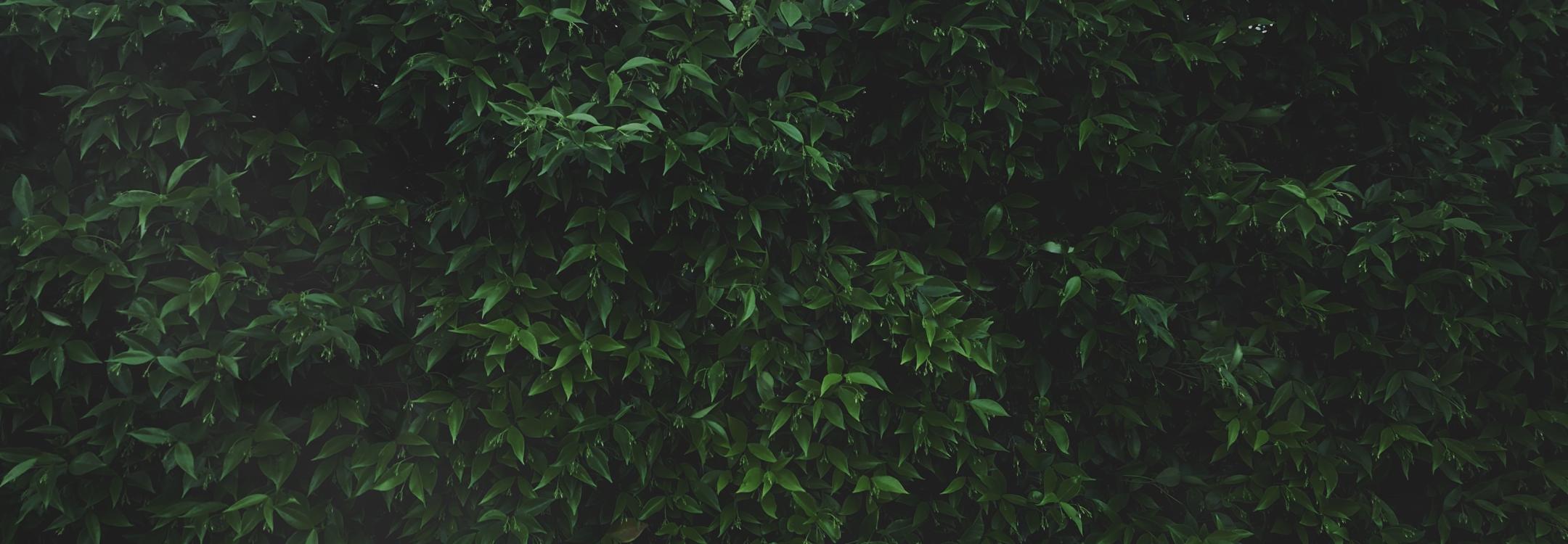 mario-parente-YnHOIroyUYo-unsplash.jpg mario-parente-YnHOIroyUYo-unsplash.jpg